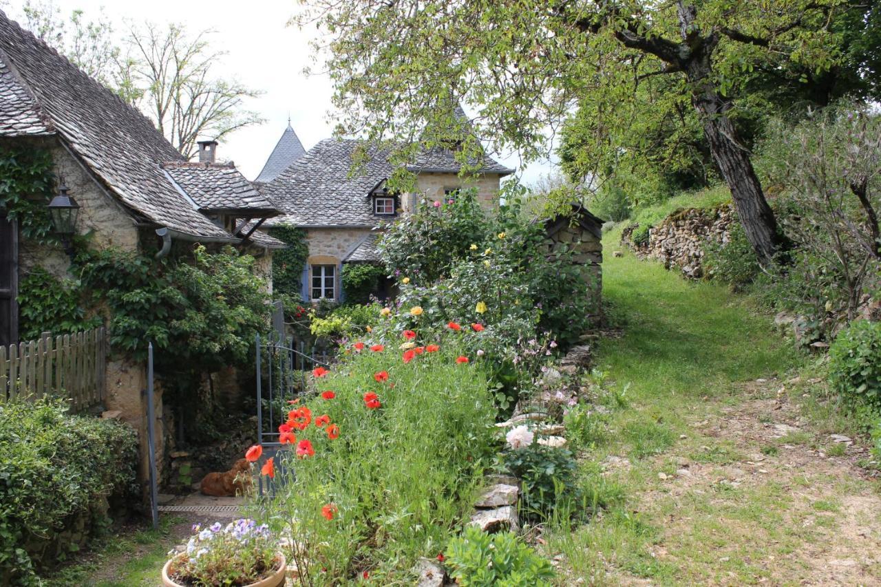 Les Terrasses De Labade Gite Et Chambres D'Hotes Coubisou Exterior photo